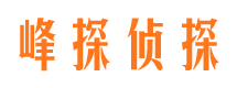 贵池寻人公司